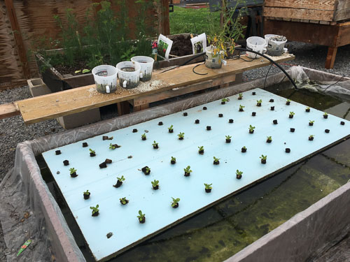 Mattituck High School Then and Now