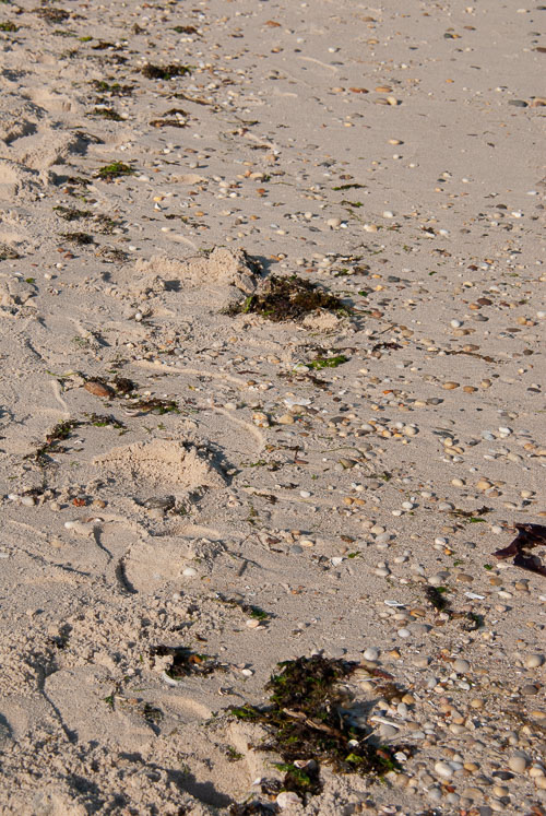 Mattituck Town Then and Now