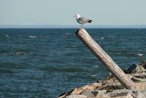 Mattituck Town Then and Now